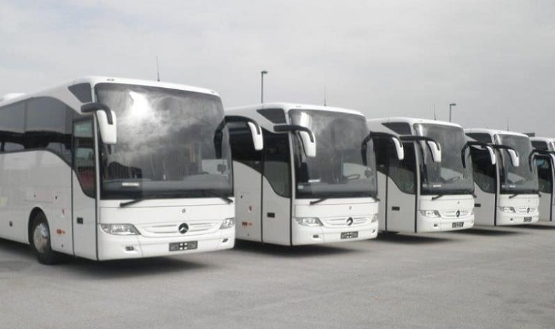 Region Zealand: Bus company in Sorø in Sorø and Denmark