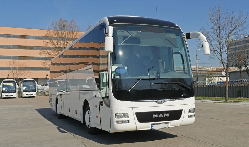 Capital Region of Denmark: Buses operator in Hornbæk-Dronningmølle in Hornbæk-Dronningmølle and Denmark